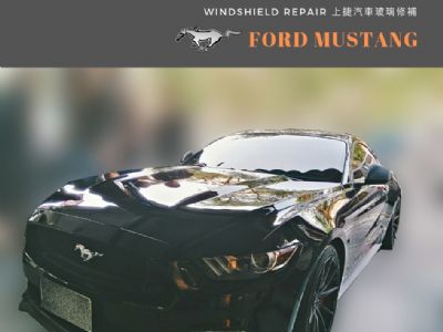 FORD MUSTANG 野馬